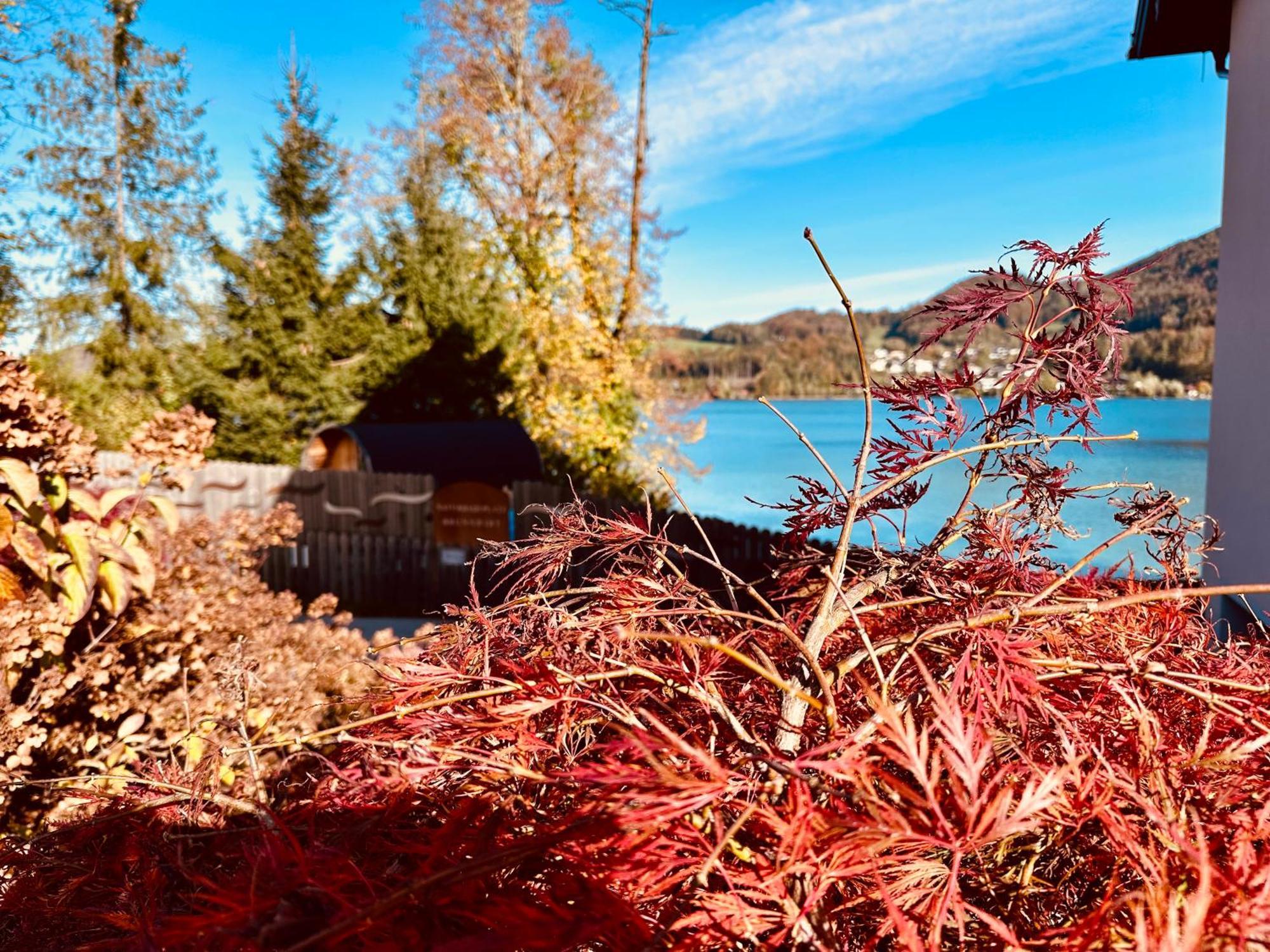 Apartmán Brunnwirt Essen & Wohnen Fuschl am See Exteriér fotografie